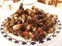 Percebes del norte