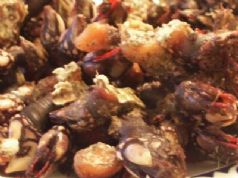 PERCEBES