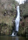 pozo da ferida